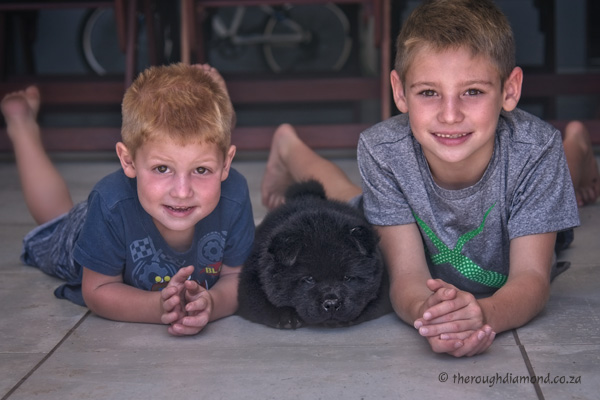 boys and puppy